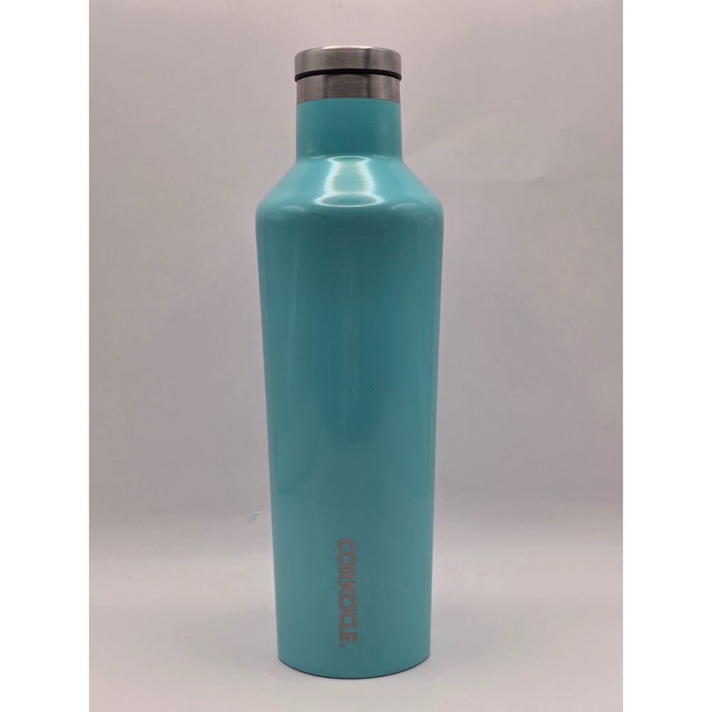 Corkcicle Canteen with Lid Screw Top 16.9 oz* Stainless Steel Sea Foam